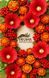 00001 фото 1
